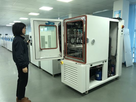 Camera di temperatura e umidità della camera di screening dello stress ambientale programmabile LIYI